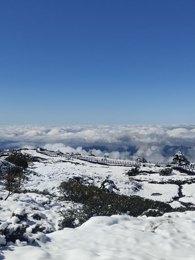 雲南昆明轎子雪山｜治癒你的巍峨壯麗雪世界