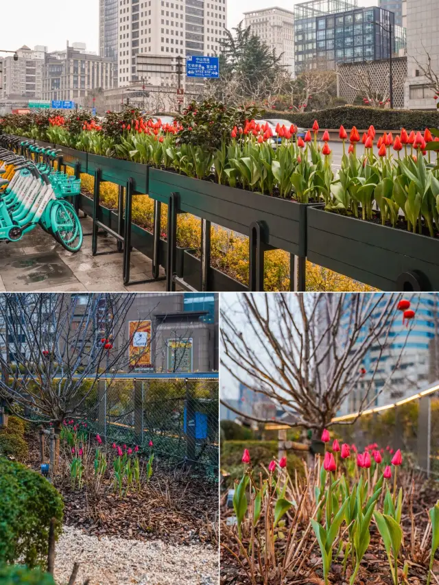 12-Day South Africa Short Vacation: Detailed Travel Guide