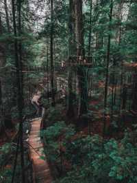 Discover the Capilano Suspension Bridge in Vancouver
