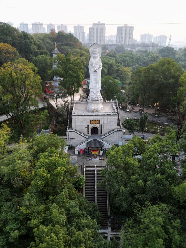 重慶旅遊｜周末祈福靜心 華岩寺免費抄經喝茶
