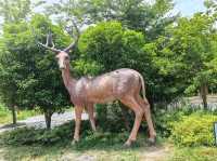 溱湖濕地公園
