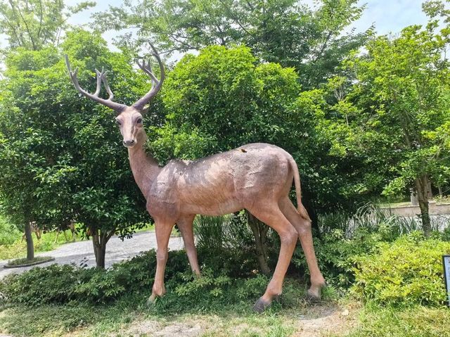 溱湖濕地公園