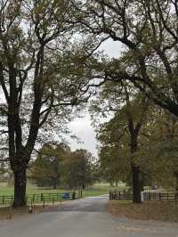 Exploring Harewood House In UK