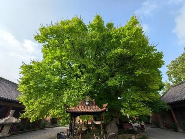 大名鼎鼎大明寺