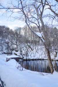 誤入童話世界北海道羊蹄山下的名水公園