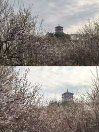 探秘廣西欽州越州天湖，美到窒息！