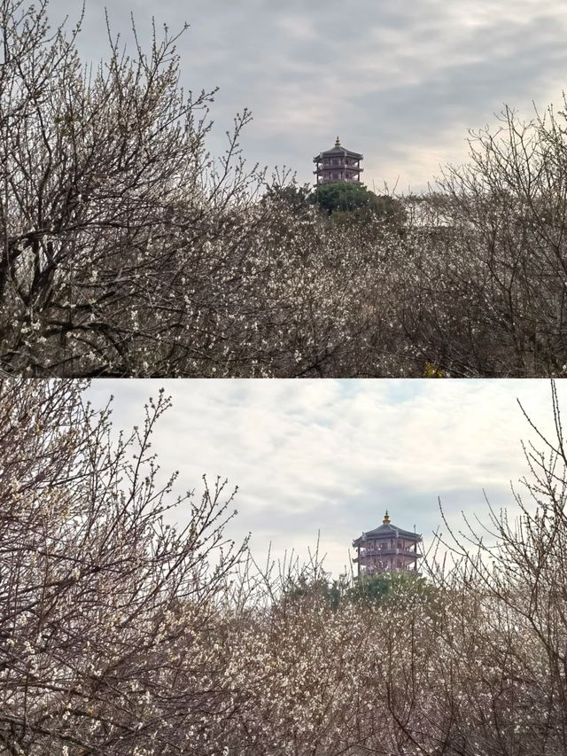 探秘廣西欽州越州天湖，美到窒息！