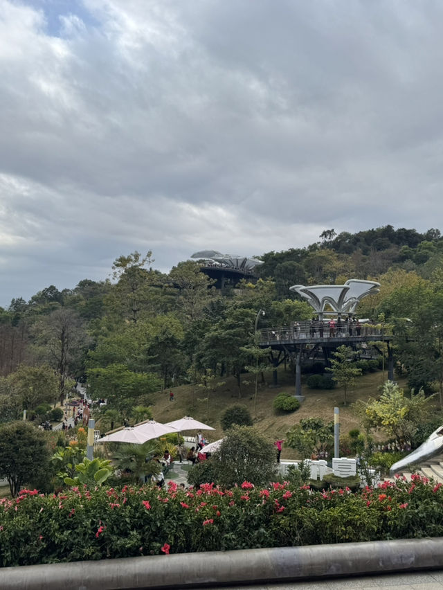 探秘雲蘿植物園，邂逅自然之美🌸