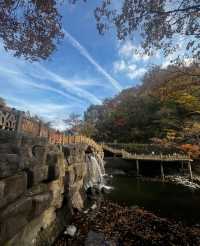 本溪｜關門山森林公園——真正的天然氧吧