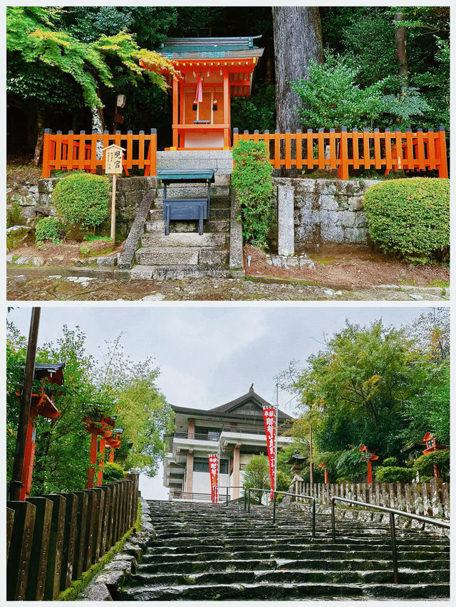 日本之旅·熊野古道｜純玩一日遊攻略 徒步穿越深山峻嶺