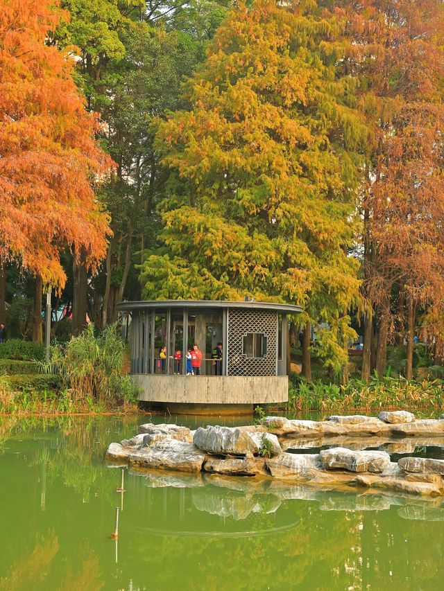 四海公園：飲咖啡、逛公園、曬太陽……