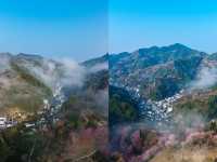 接下來的十天，將是這個村子一年中最美的時間
