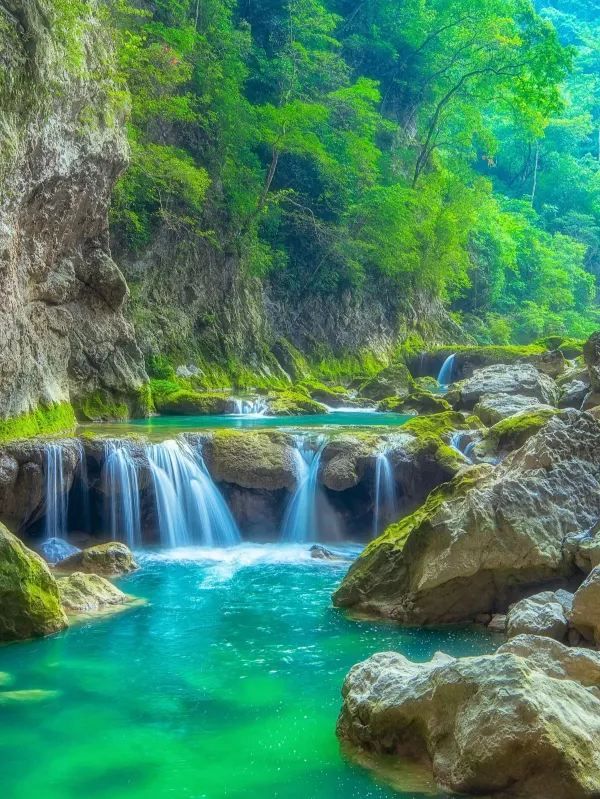 3月去貴州，淋一場藍色星球上最美的櫻花雨