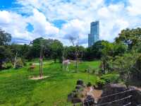 大阪市天王寺動物園
