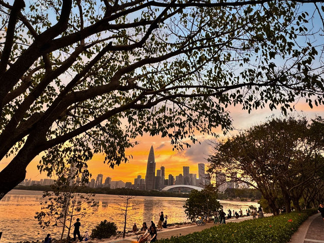 《人才公園的日落美景》