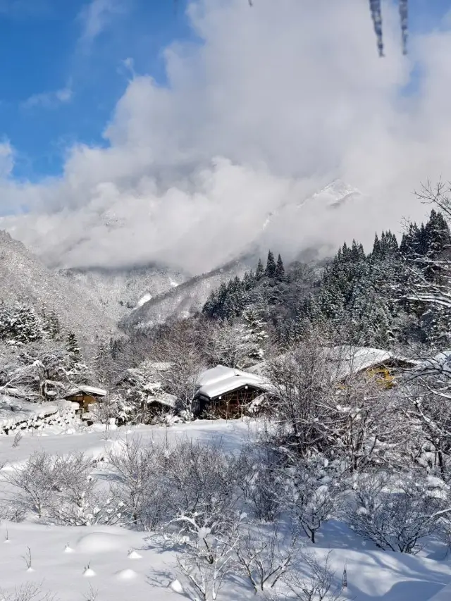 5-Day Japan Tour: Don't Miss the Authentic Hot Spring Experience