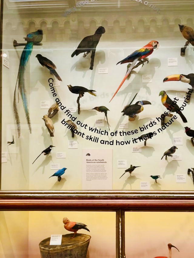 From Screen to the UK's Museum Amazing