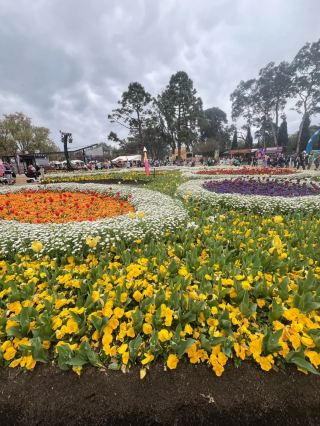 Floriade