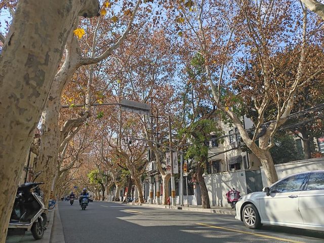 整理了一份上海旅遊攻略