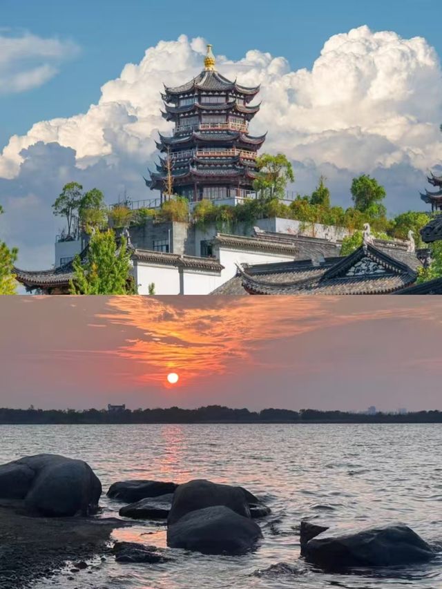 衢州之旅剛結束，我的消費觀徹底崩潰了。