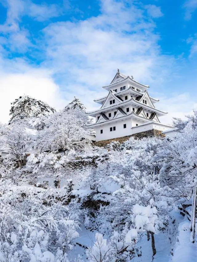 A 5-Day Hot Spring Getaway in Japan
