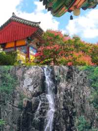 密陽雙日遊，解鎖小眾韓韻寶藏地