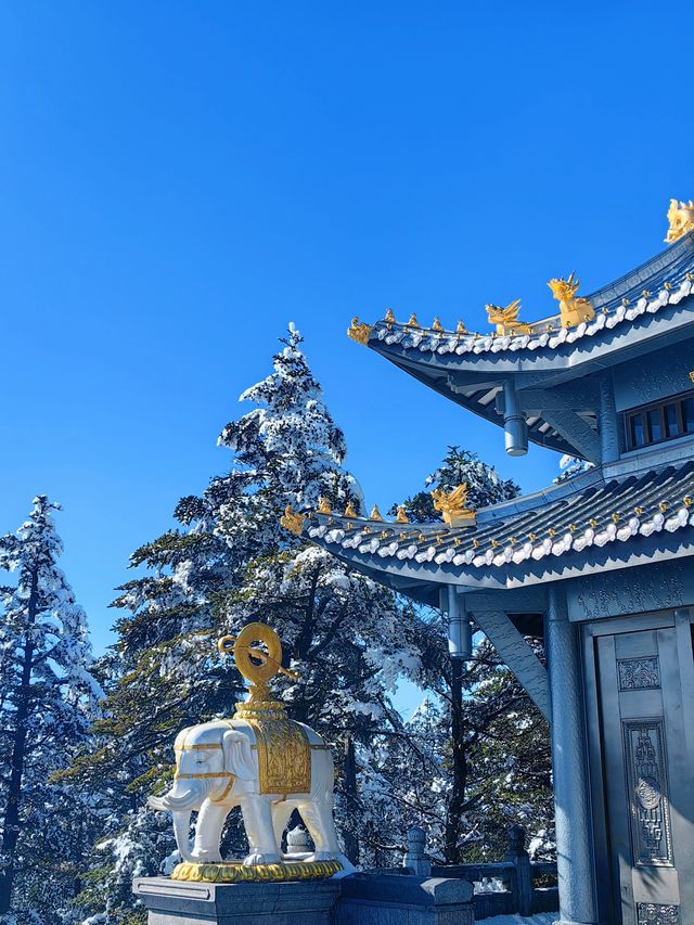 峨眉山會懲罰每一個不做攻略的人