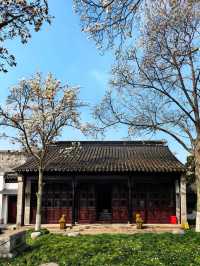 玉蘭映雙塔，春色落滿園。