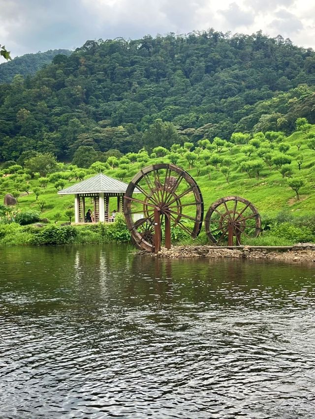 石門森林公園 | 周末吸氧好去處，爽麻了