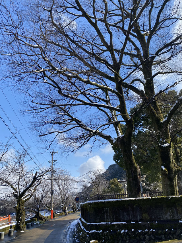 大雪紛飛金華山