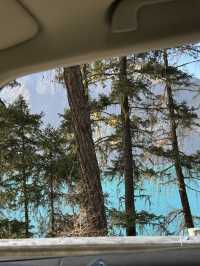 林芝5日遊 小長假出行不二之選