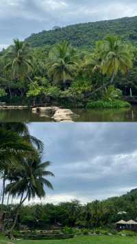 呀諾達熱帶雨林超有趣旅遊攻略