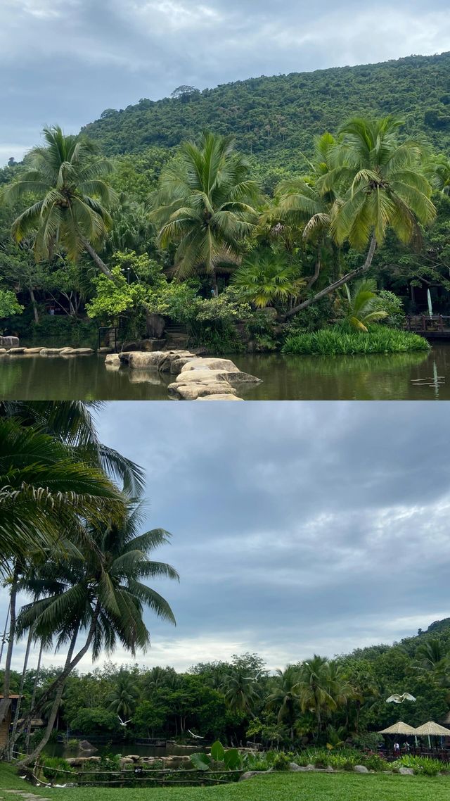 呀諾達熱帶雨林超有趣旅遊攻略
