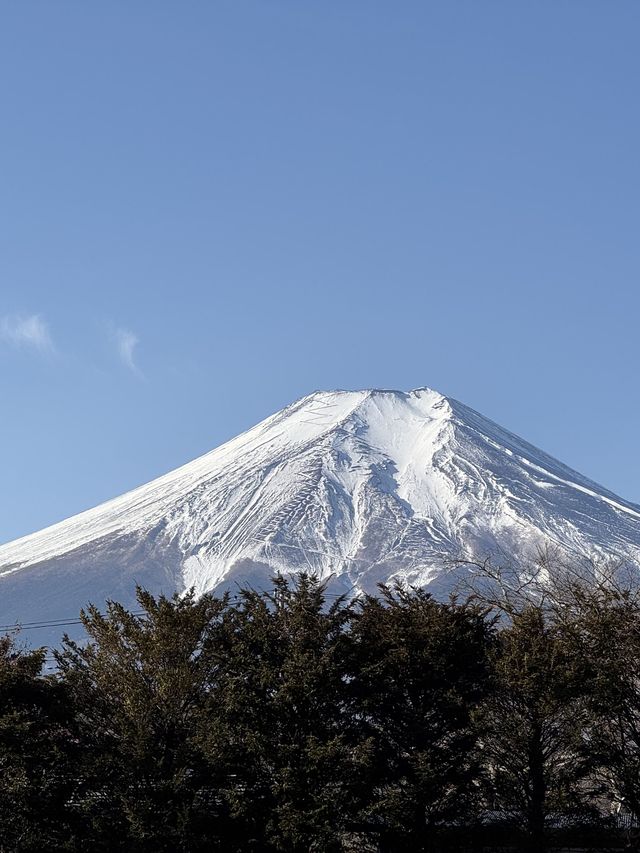 快收藏小長假7日深度遊日本攻略