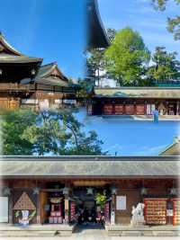 解鎖日本新潟 | 小眾寶藏旅遊地