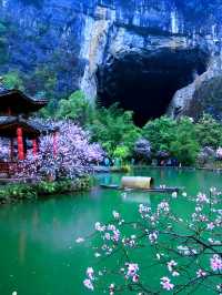 重慶酉陽桃花源春日仙境
