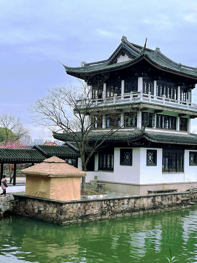 無錫蠡園春日櫻花賞花全攻略 無錫蠡園春日櫻花賞花全攻略