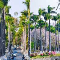 華南農業大學濕地公園遊玩攻略