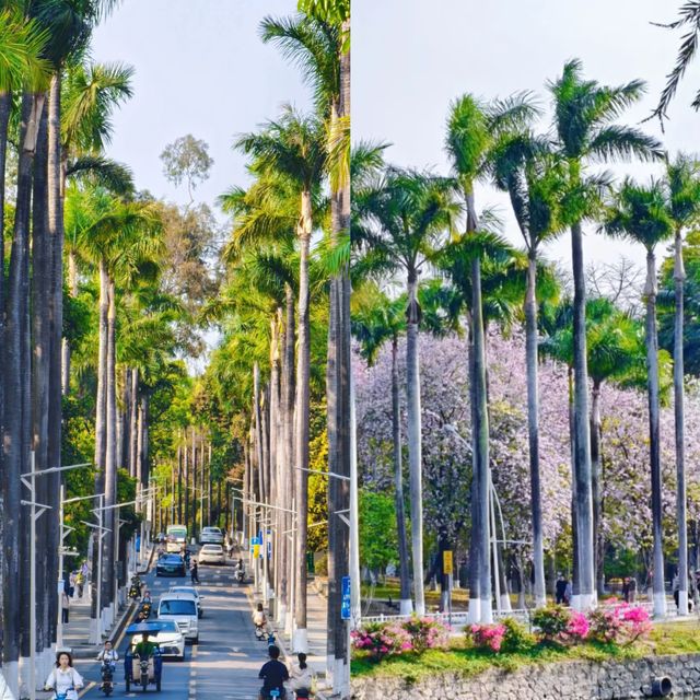 華南農業大學濕地公園遊玩攻略