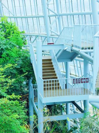 Zhengzhou: Botanical Garden - A Green Secret Realm and Natural Wonder in Central China
