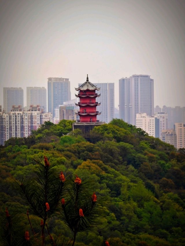 Huishan Ancient Town – Scenic & Historic