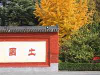 河南洛陽名剎「白馬寺」
