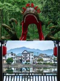 桐廬已回，我的建議是…