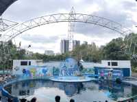 深圳野生動物園玩轉攻略，萌獸奇遇之旅