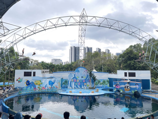深圳野生動物園玩轉攻略，萌獸奇遇之旅