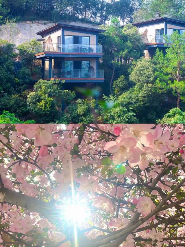 安吉已回，我嘅消費觀崩塌咗。