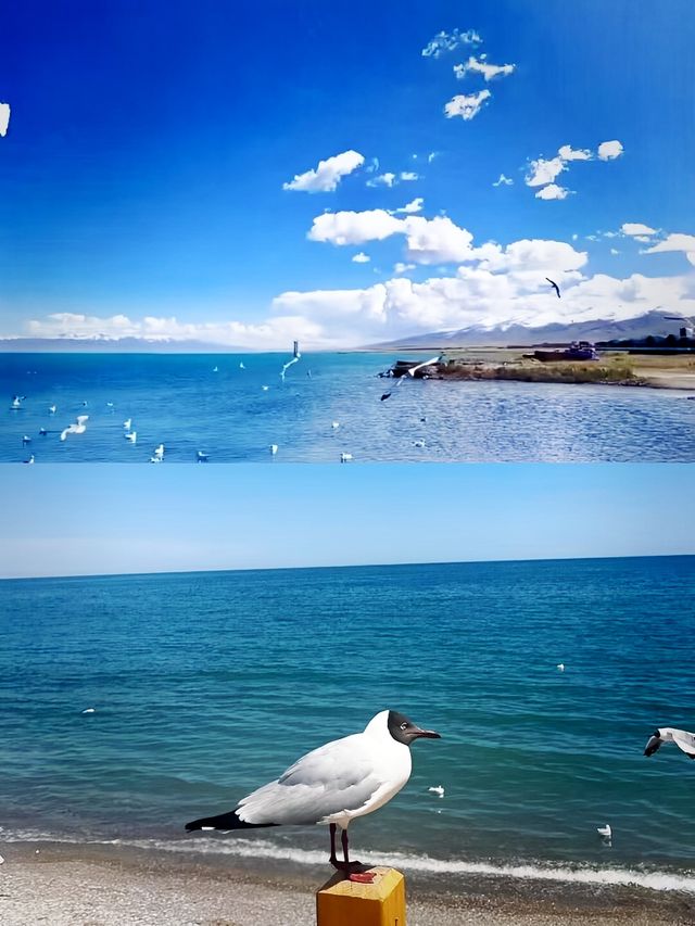 高原明珠的絕美秘境