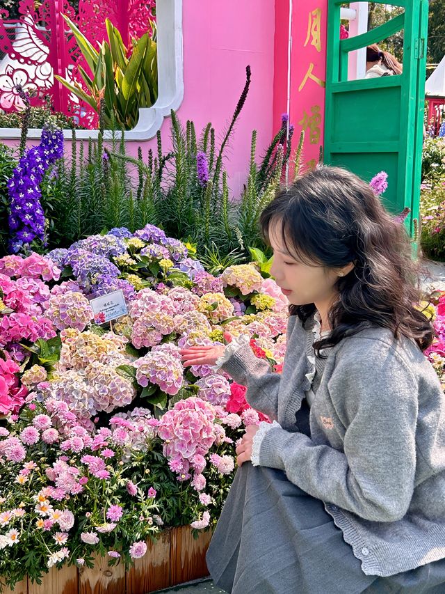 🌸香港維多利亞公園花卉博覽會