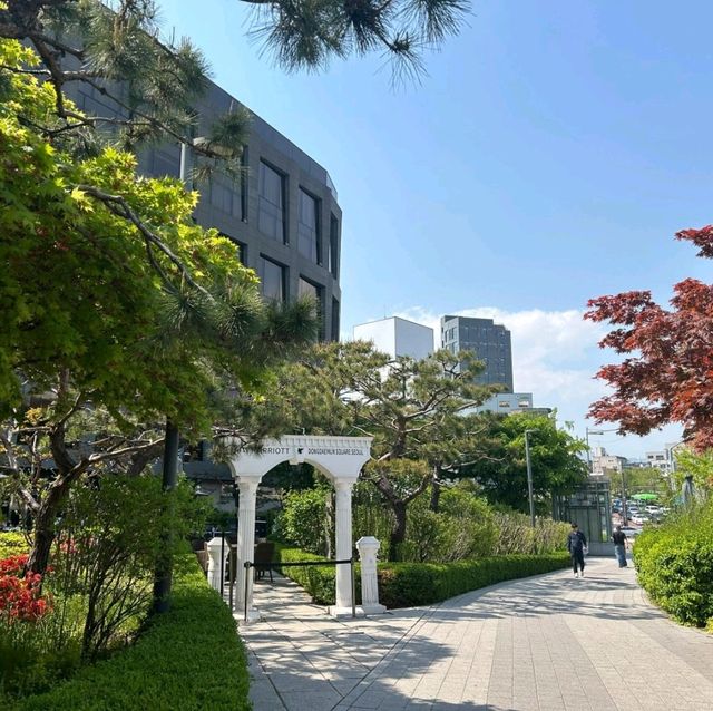 📺首爾驚喜發現！這些爆火韓劇取景地原來藏在這裡✨ 