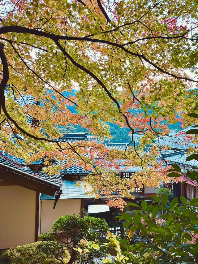 《下呂溫泉合掌村》